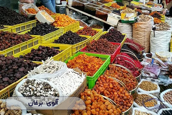 آلوی برغان